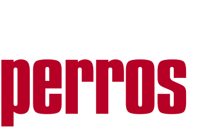 Amores Perros's cover