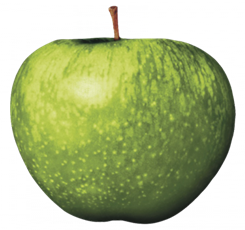 Apple Corps's cover