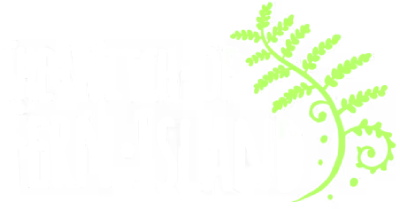 The Witch of Fern Island's cover