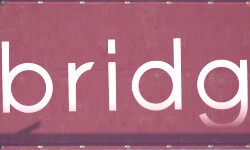 bridg's cover