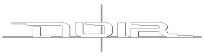 Noir's cover