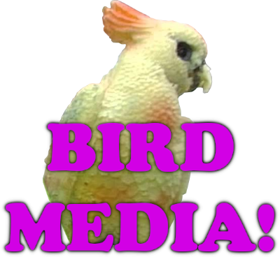 Bird Media's cover