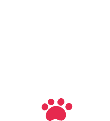 Neko ni Tensei shita Ojisan's cover