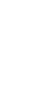 The Boy & the Wolf's logo