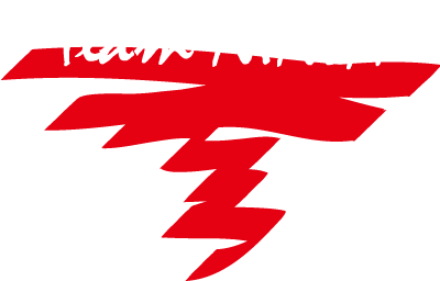 Team Ninja's cover