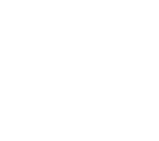 The Great Wish's cover