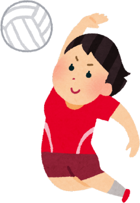 Volleyball's cover