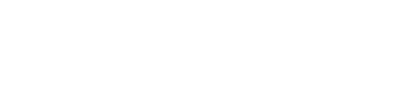 Punishing: Gray Raven's logo