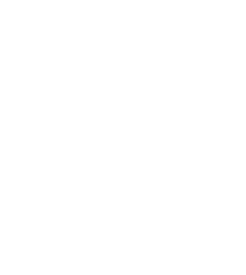 Toaplan's cover