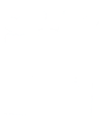Honey Bear's cover