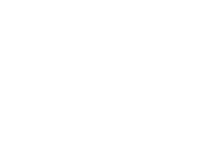 Spaceflux's logo
