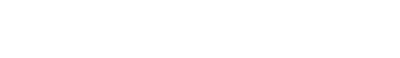 Black Veil Brides's logo