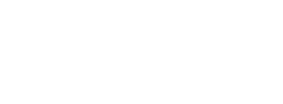 Castle Swimmer's logo