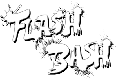 Flash Bash's cover