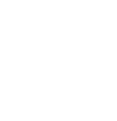 DanPlan's logo
