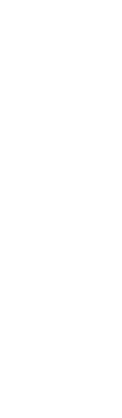 Usagi's image