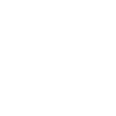 Magic Bus's cover