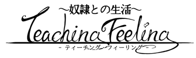Dorei to no Seikatsu -Teaching Feeling-'s cover