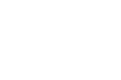 WILDCAT's logo