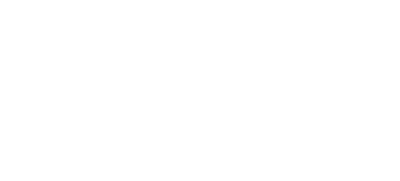 Twin Mirror's cover