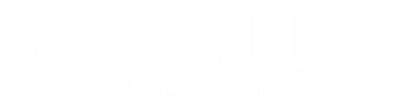 Maestra: Strings of Truth's cover