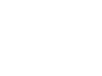 THE ANZ's cover
