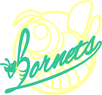 HORNETS's cover