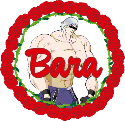 Bara's cover