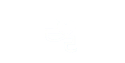 Perfect Liar's logo