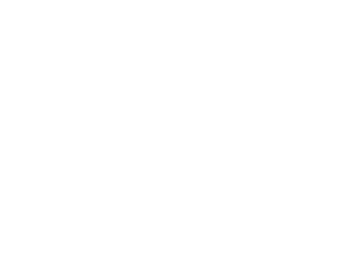 Blustone Logo