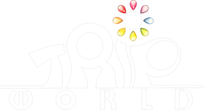Trip World's cover
