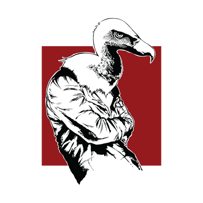 Them Crooked Vultures's image