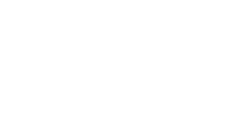 Fisheye Placebo Logo