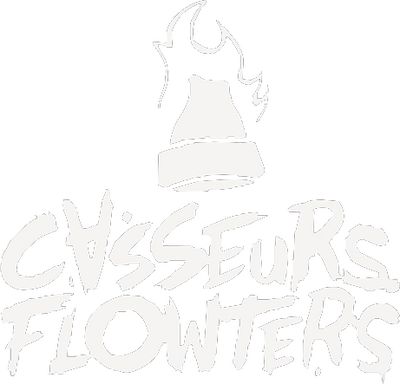 Casseurs Flowters's cover