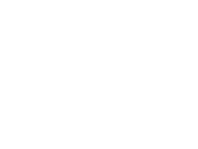 O Meu Pé de Laranja Lima's cover