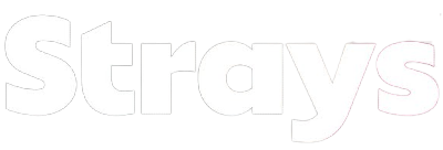 Strays's cover