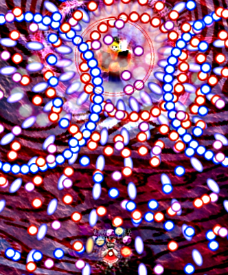 Bullet Hell's cover