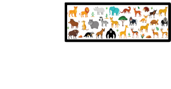 IRL Animals's image