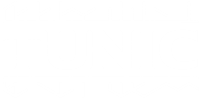 TUNIC's logo