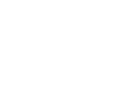 Rise From Ashes's cover