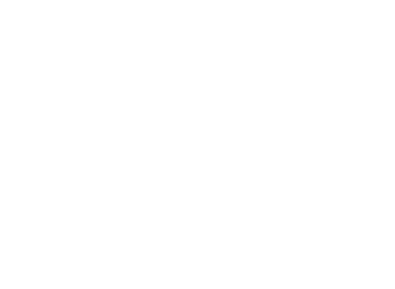 Disciple of the Holy Sword's logo