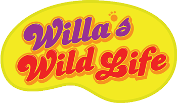 Willa's Wild Life's cover