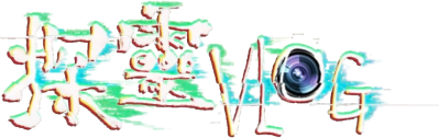 Detective VLOG's cover