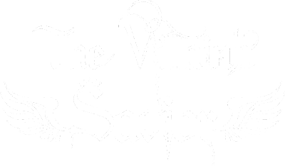 The Villain's Savior's cover