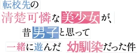 Tenkou-saki no Seiso Karen na Bishoujo ga, Mukashi Danshi to Omotte Issho ni Asonda Osananajimi datta Ken's logo