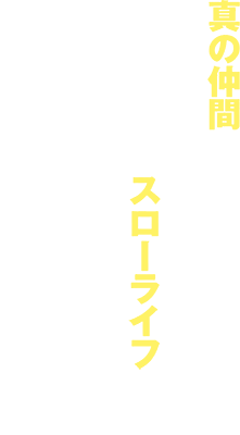 Shin no Nakama ja Nai to Yuusha no Party wo Oidasareta node, Henkyou de Slow Life suru Koto ni shimashita's cover