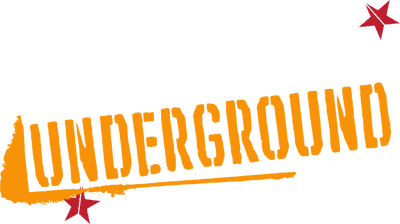 Tony Hawk's Underground's image