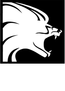 Lionhead Studios's cover