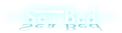 SeaBed's cover