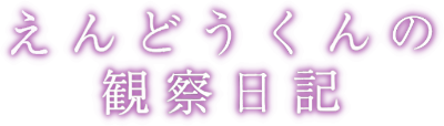 Endou-kun no Kansatsu Nikki's cover